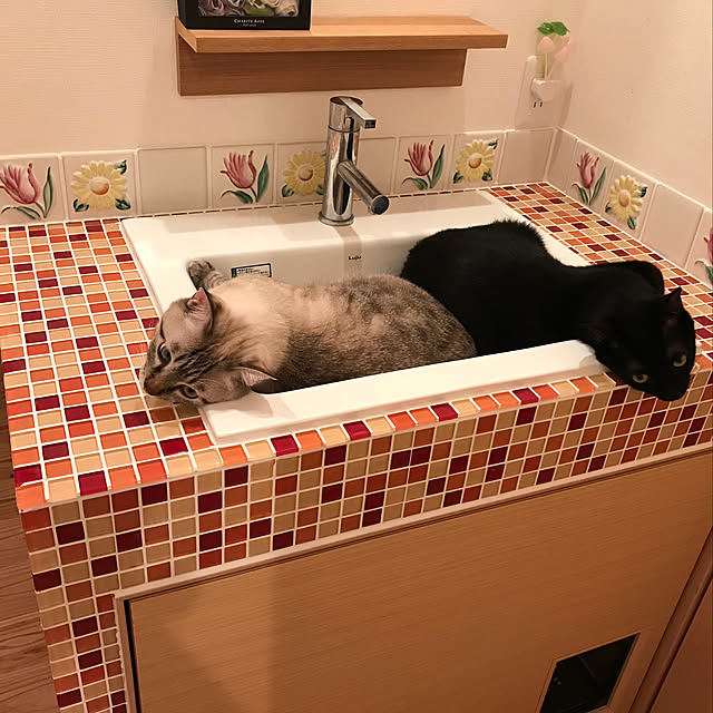 chiiさんの実例写真