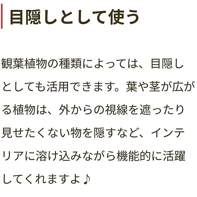 MOMOMAMAさんの部屋