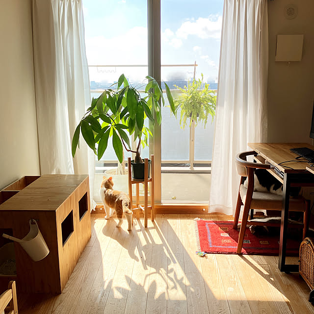 conmichanさんの実例写真