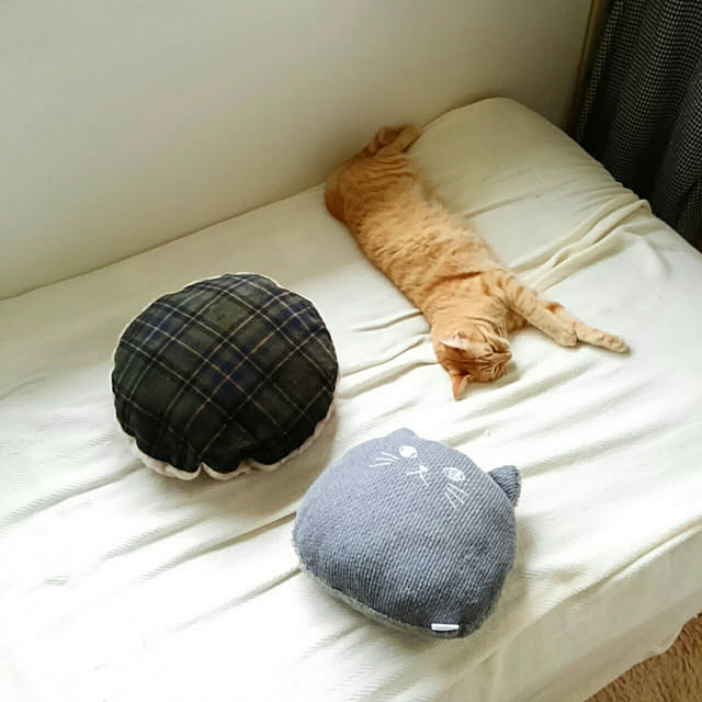 mayutan.さんの実例写真