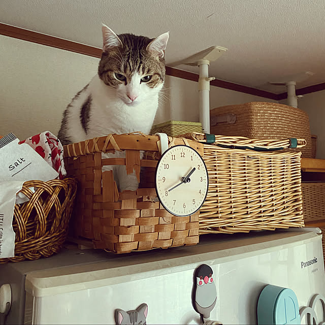 Lufuさんの実例写真