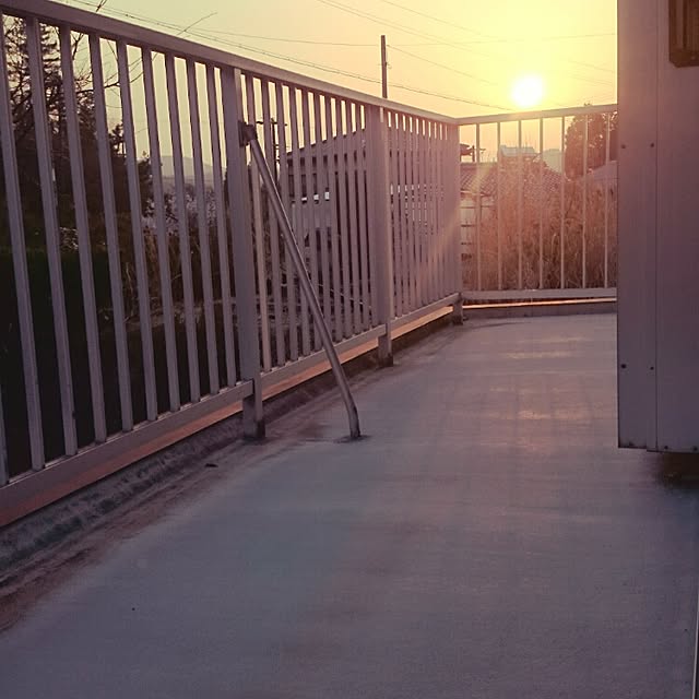 Mizubasyoさんの実例写真