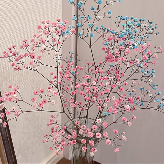 CHOUCHOUさんの実例写真