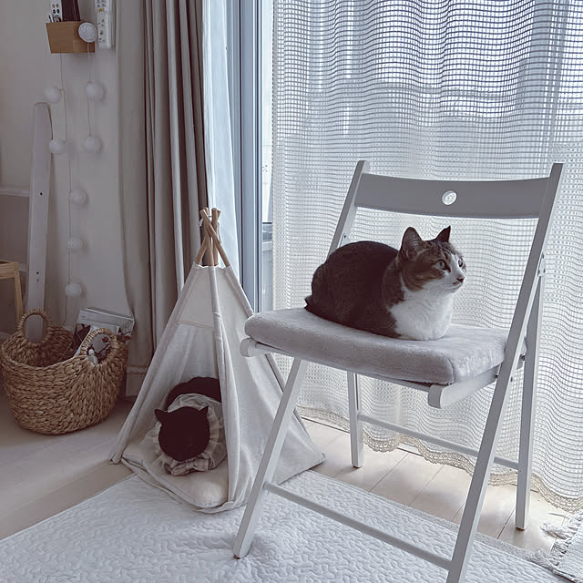 nekomiさんの部屋