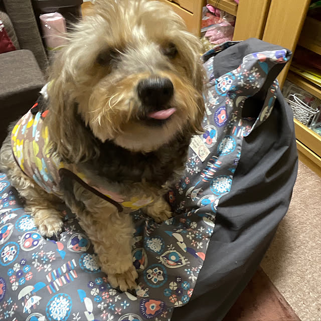 Annieさんの実例写真