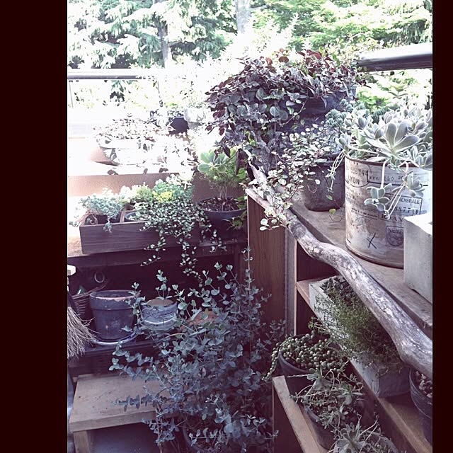jnkaiさんの実例写真