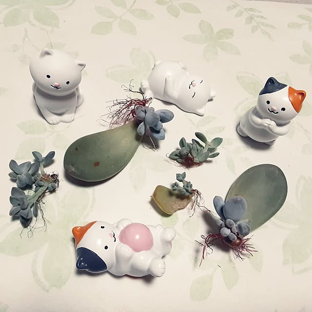 katさんの実例写真