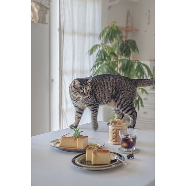 oliveさんの部屋