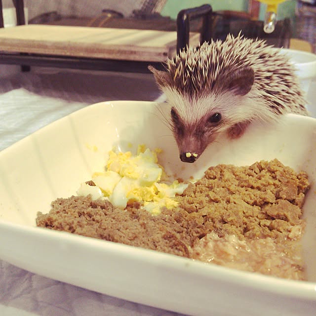 ctaさんの実例写真
