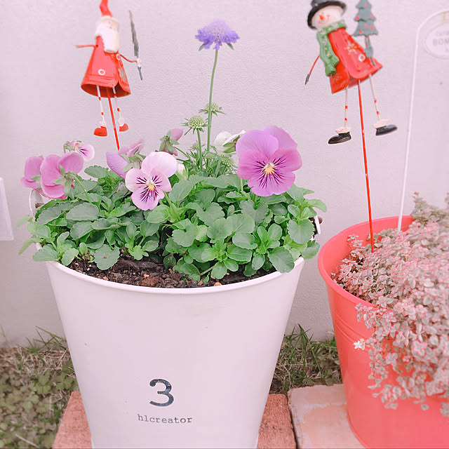 t.m.r.sさんの実例写真