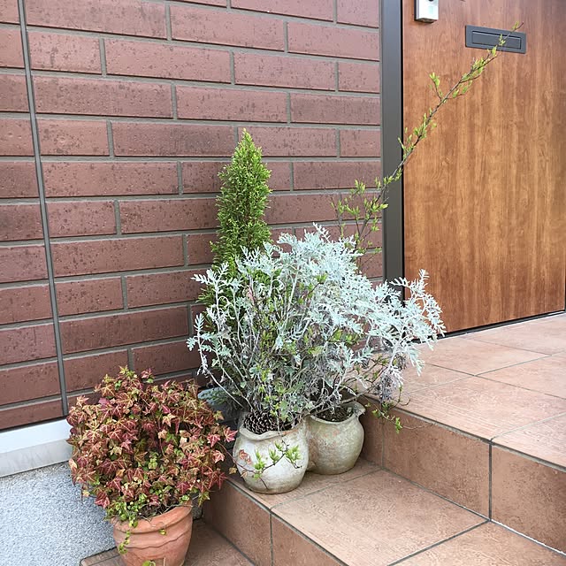 ceylonさんの実例写真
