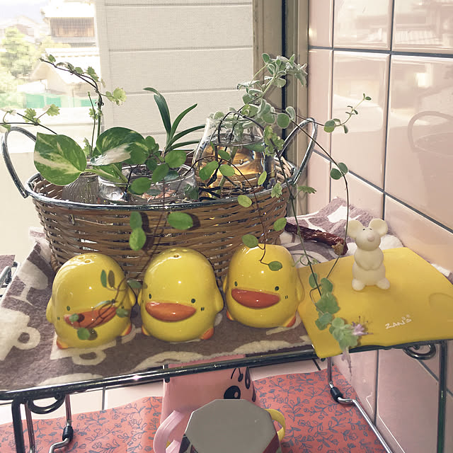 takakoさんの実例写真