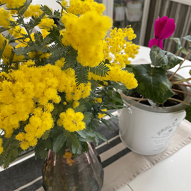 Andaluciaさんの部屋