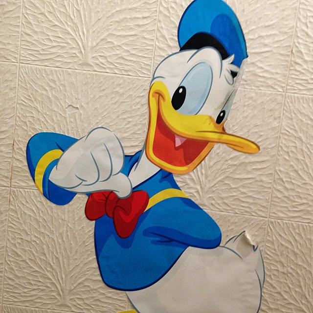 larcsaikoooさんの実例写真