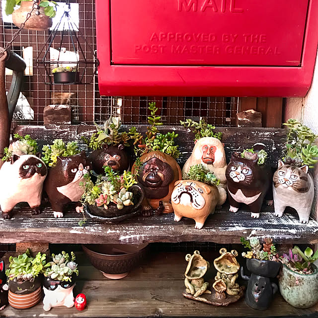 butachanさんの実例写真