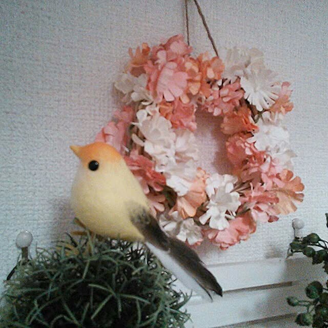 akiさんの実例写真