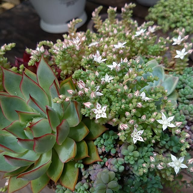 mamaさんの部屋