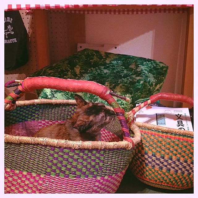 hilaさんの実例写真
