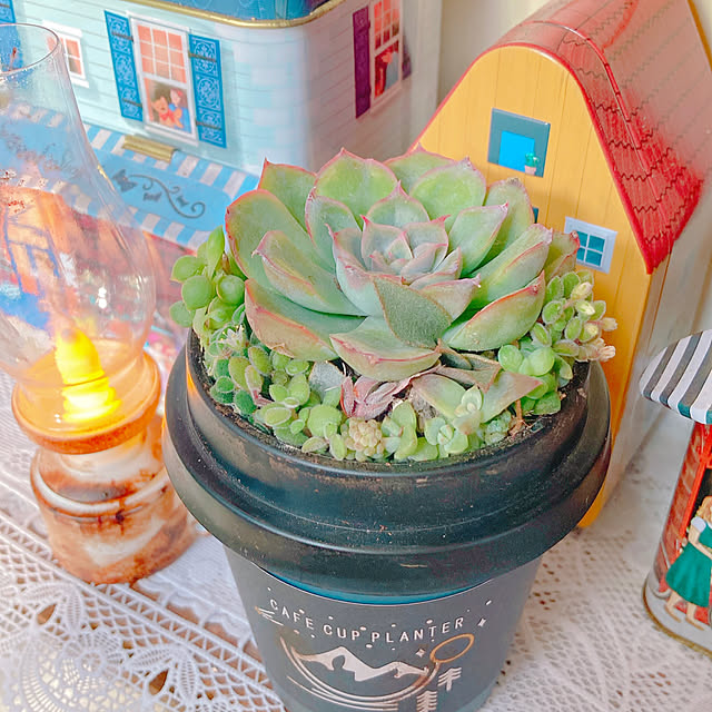 Hanakaさんの部屋