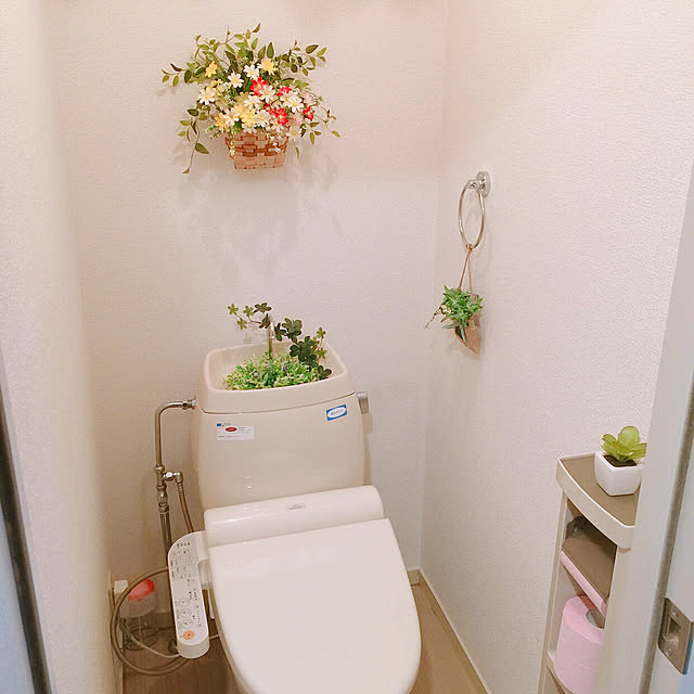 RanRanさんの実例写真