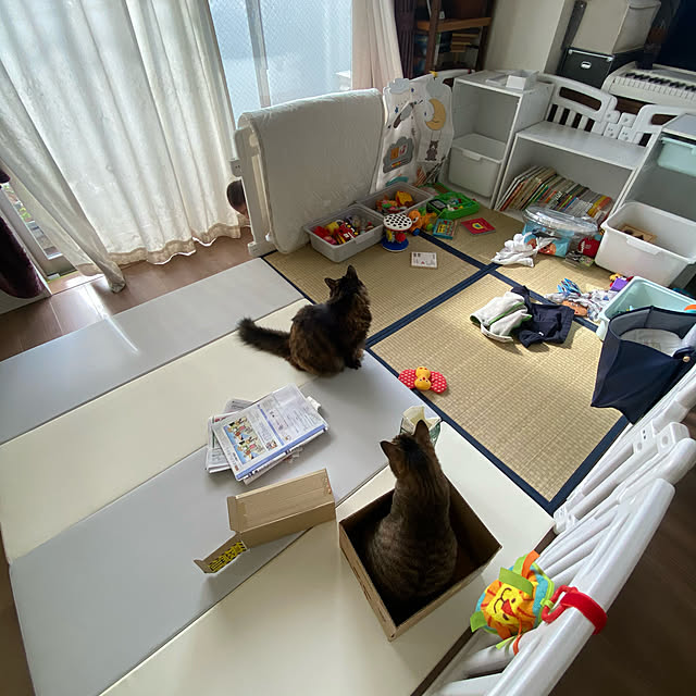 mikomaruさんの実例写真