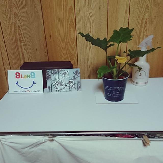 Nanaさんの実例写真