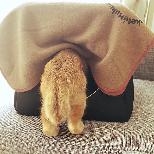 rinnumaさんの実例写真