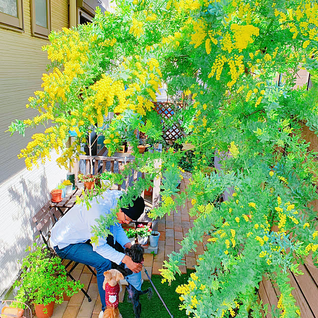 risaさんの実例写真