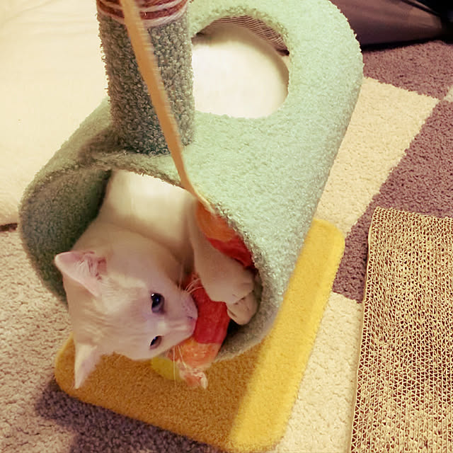 UMiさんの実例写真