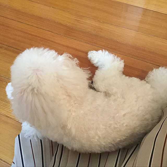 kakoさんの実例写真