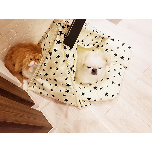 Arahimaさんの実例写真