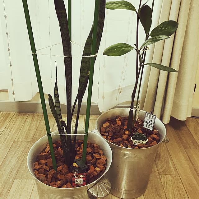 akoyamさんの実例写真