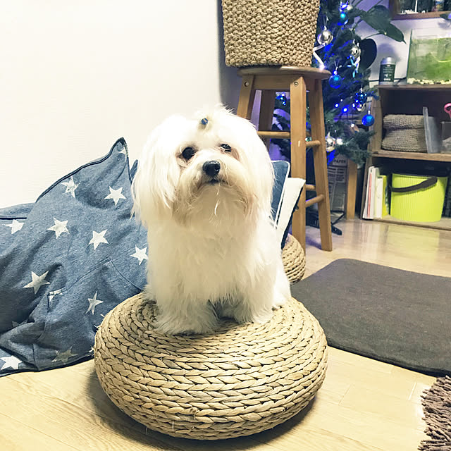 mtaさんの実例写真