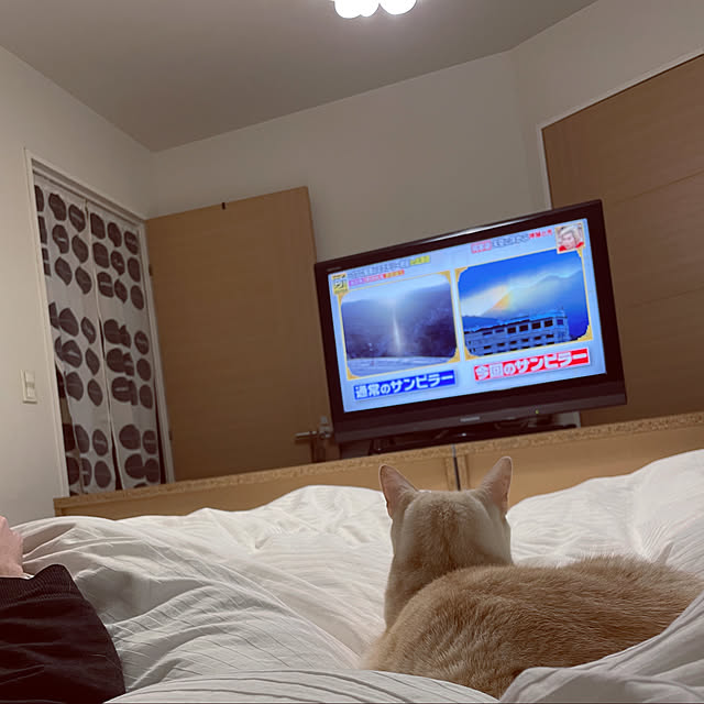 hiyupan88さんの実例写真