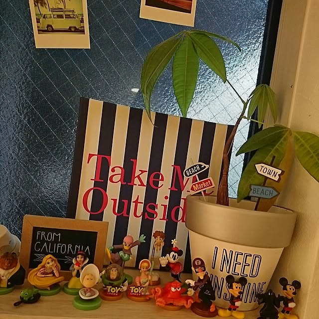 erinaさんの実例写真