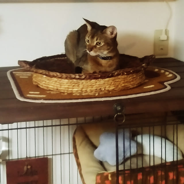 kichiさんの実例写真