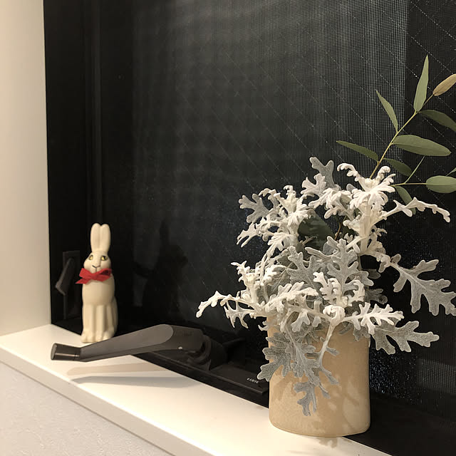 otanuさんの実例写真