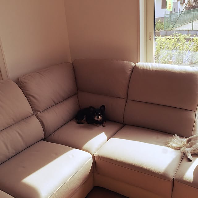 yukitanさんの実例写真