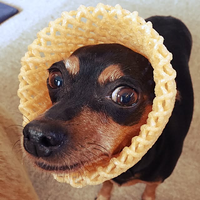 l_heureuxさんの実例写真