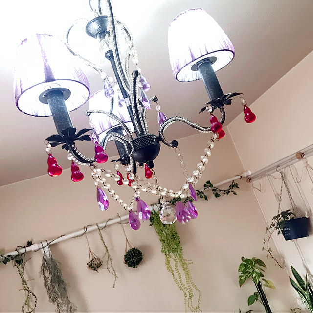 部屋全体/雑貨/100均/観葉植物/ダイソー...などのインテリア実例 - 2019-02-22 08:26:39