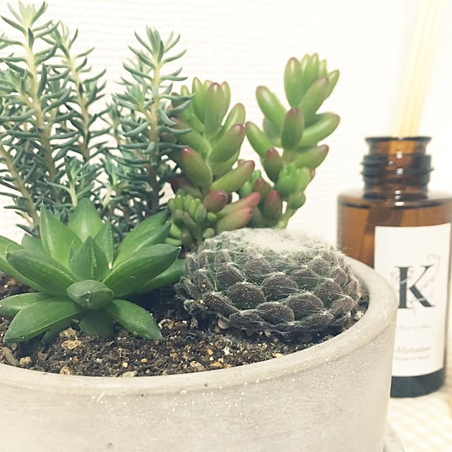 Nozomiさんの実例写真