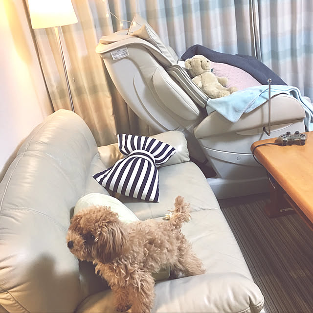 MARIRINさんの実例写真
