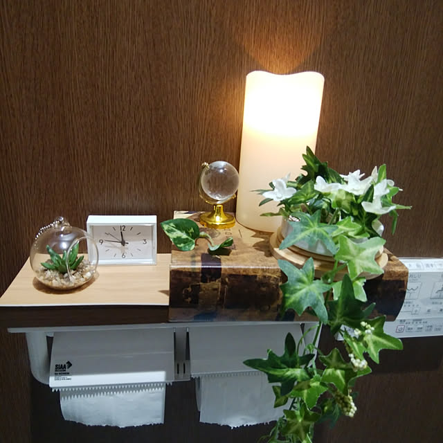 ctonaさんの実例写真