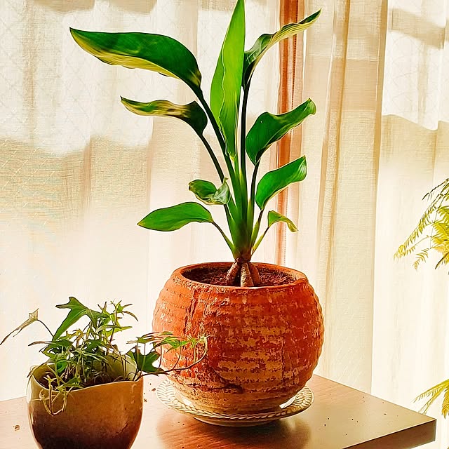 Yoko622さんの部屋