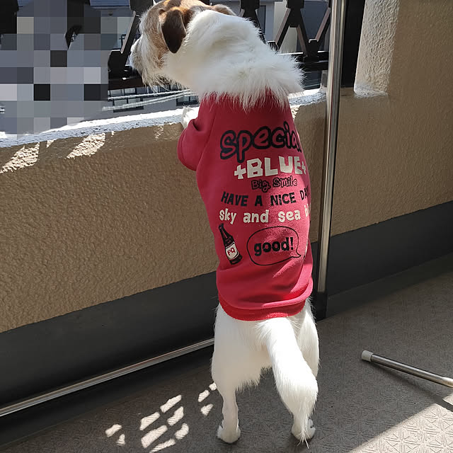 marosukeさんの実例写真