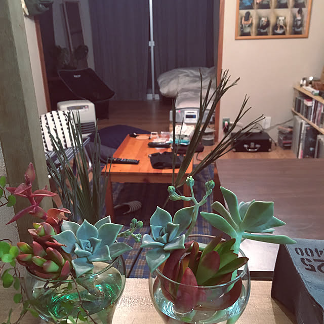 zen1108kettさんの実例写真