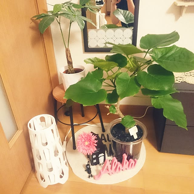 michiさんの実例写真