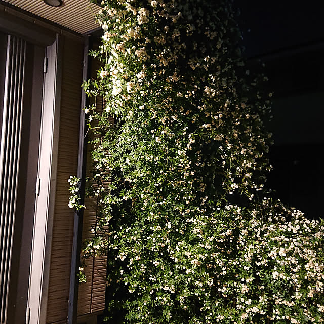 EKさんの実例写真
