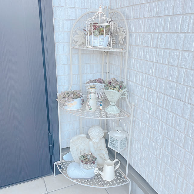 akiko-ovさんの部屋