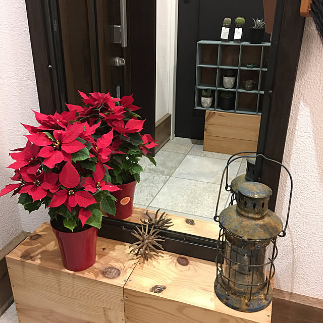 importantさんの実例写真
